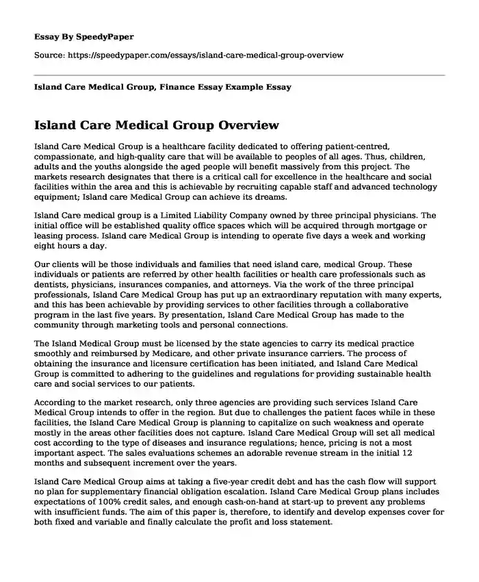 Island Care Medical Group, Finance Essay Example