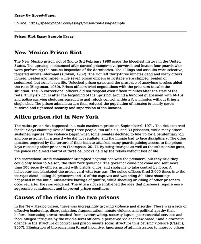 Prison Riot Essay Sample