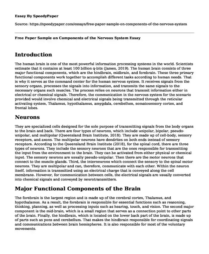 Free Paper Sample on Components of the Nervous System