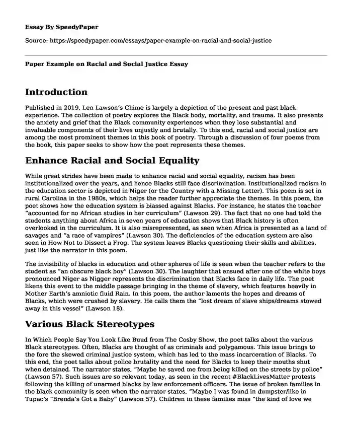 Paper Example on Racial and Social Justice