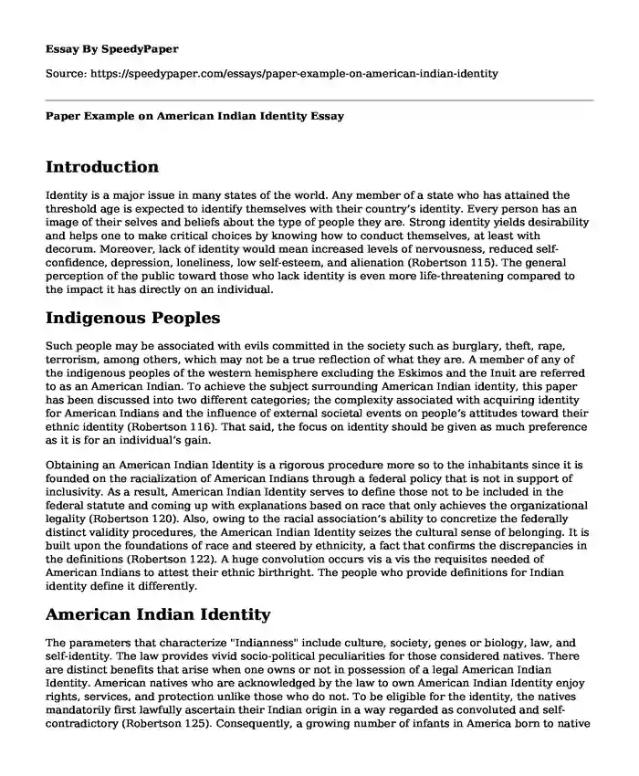 Paper Example on American Indian Identity