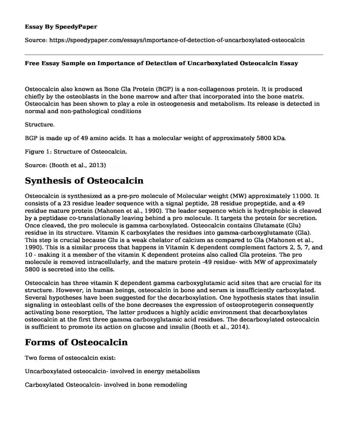 Free Essay Sample on Importance of Detection of Uncarboxylated Osteocalcin