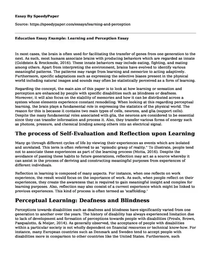 Education Essay Example: Learning and Perception