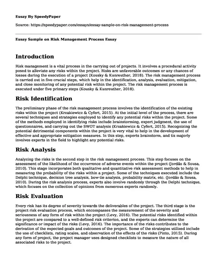 Essay Sample on Risk Management Process