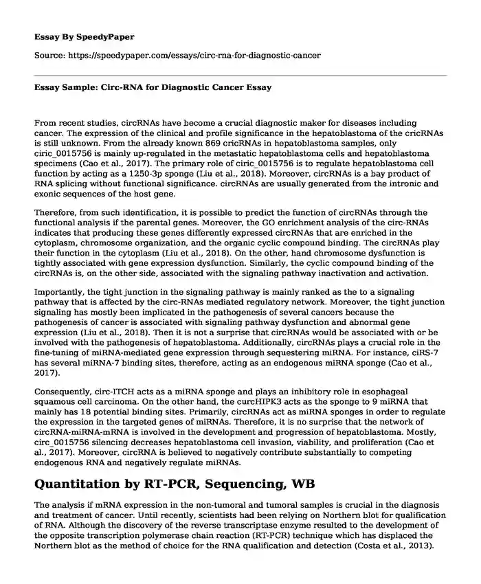  Essay Sample: Circ-RNA for Diagnostic Cancer