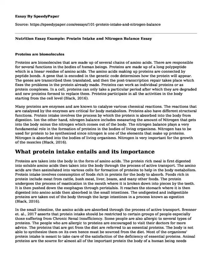 Nutrition Essay Example: Protein Intake and Nitrogen Balance