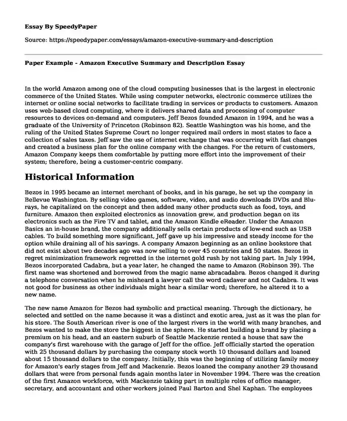 Paper Example - Amazon Executive Summary and Description