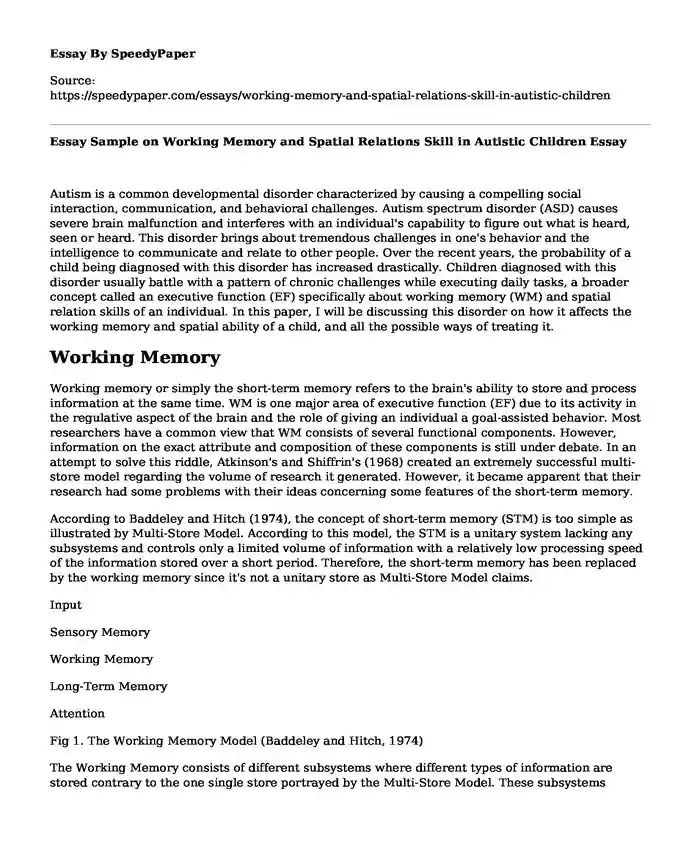 Essay Sample on Working Memory and Spatial Relations Skill in Autistic Children