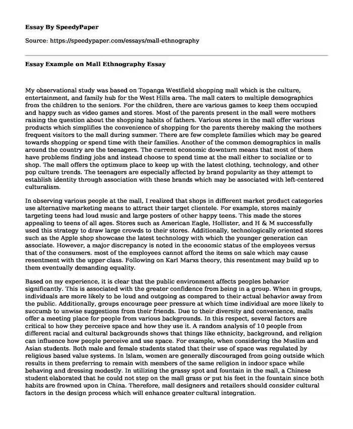 Essay Example on Mall Ethnography