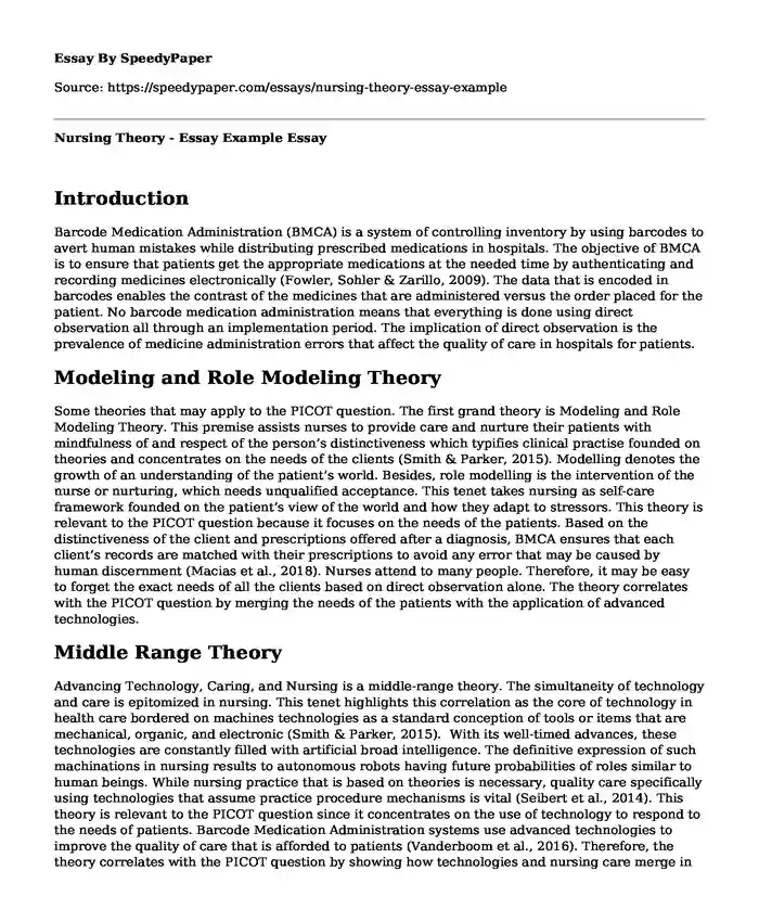 Nursing Theory - Essay Example