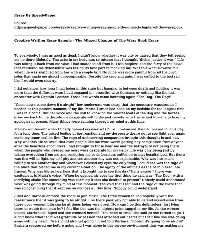 Creative Writing Essay Sample - The Missed Chapter of The Wars Book