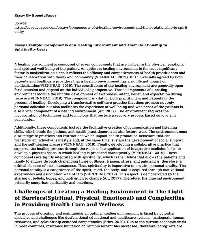 Essay Example: Components of a Healing Environment and Their Relationship to Spirituality