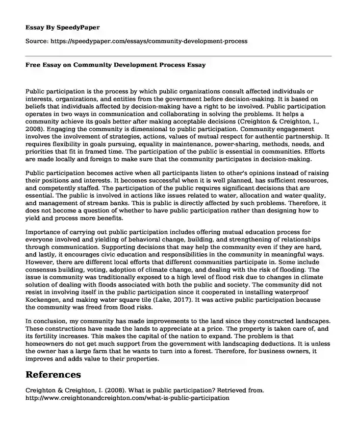 Free Essay on Community Development Process