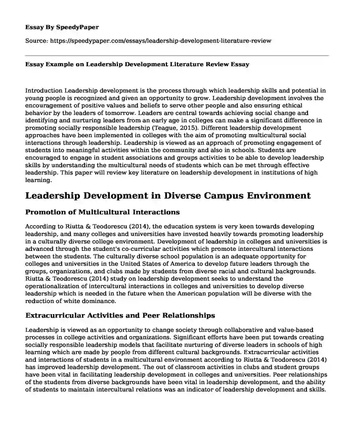 Essay Example on Leadership Development Literature Review