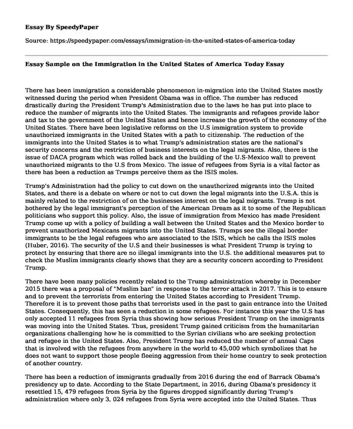 Essay Sample on the Immigration in the United States of America Today