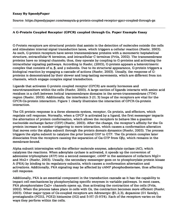 A G-Protein Coupled Receptor (GPCR) coupled through Gs. Paper Example