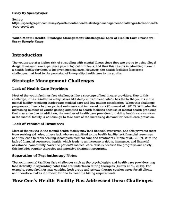 Youth Mental Health: Strategic Management Challenges& Lack of Health Care Providers - Essay Sample
