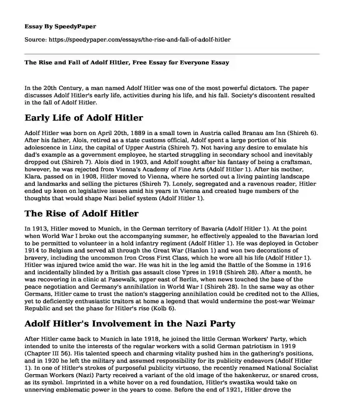 The Rise and Fall of Adolf Hitler, Free Essay for Everyone