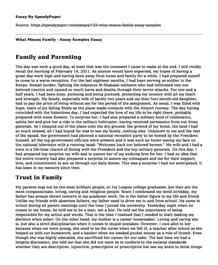 What Means Family - Essay Samples