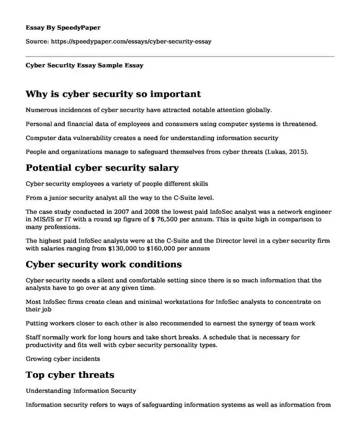 Cyber Security Essay Sample