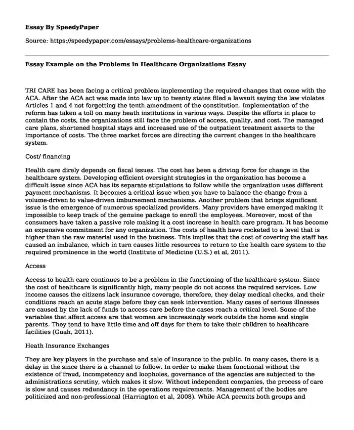 Essay Example on the Problems in Healthcare Organizations