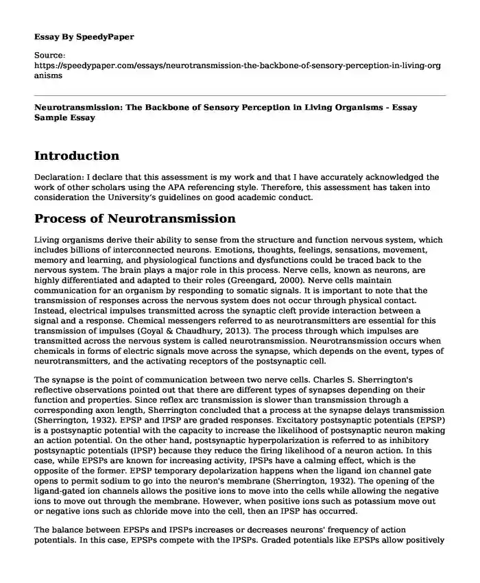 Neurotransmission: The Backbone of Sensory Perception in Living Organisms - Essay Sample