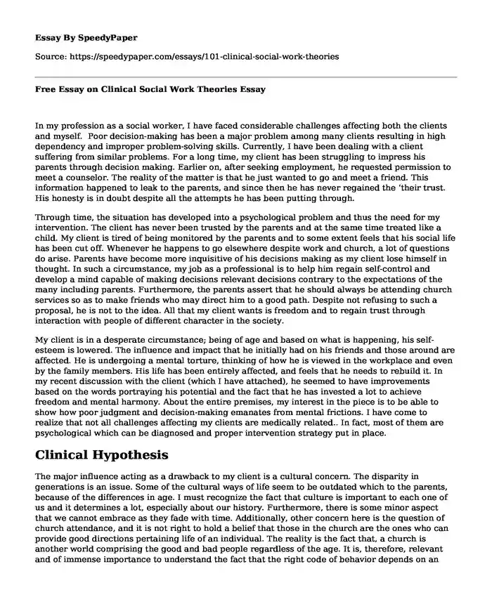 Free Essay on Clinical Social Work Theories