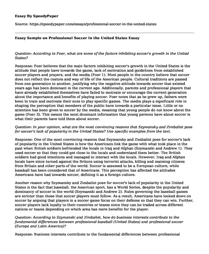 Essay Sample on Professional Soccer in the United States