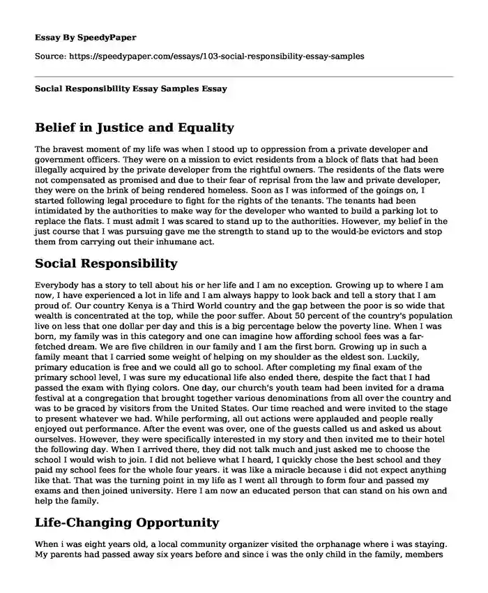 Social Responsibility Essay Samples