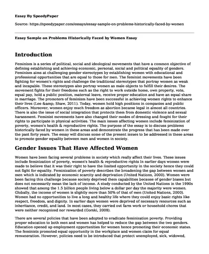 Essay Sample on Problems Historically Faced by Women