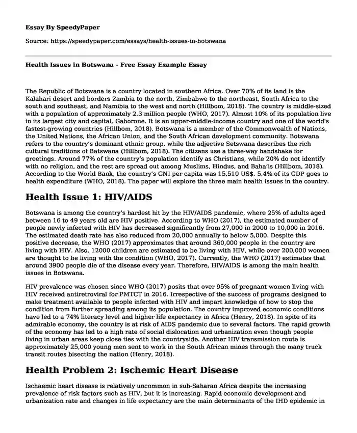 Health Issues in Botswana - Free Essay Example