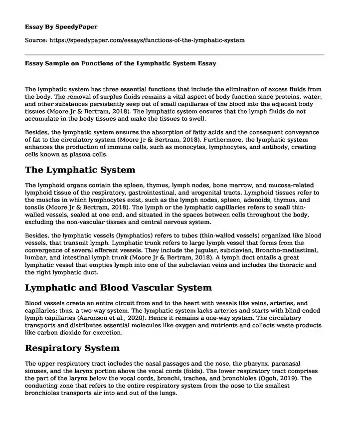 Essay Sample on Functions of the Lymphatic System