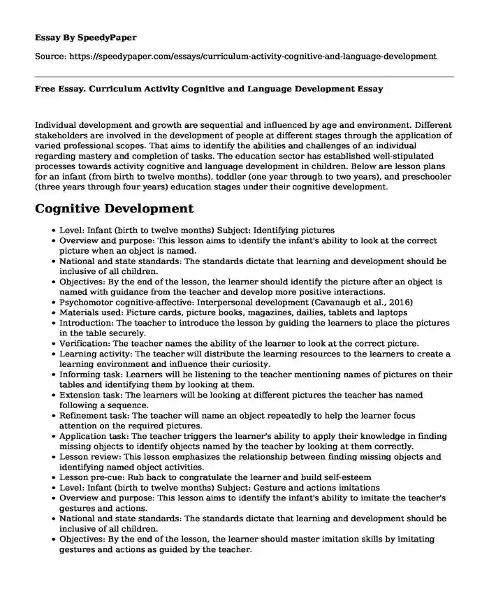 Free Essay. Curriculum Activity Cognitive and Language Development