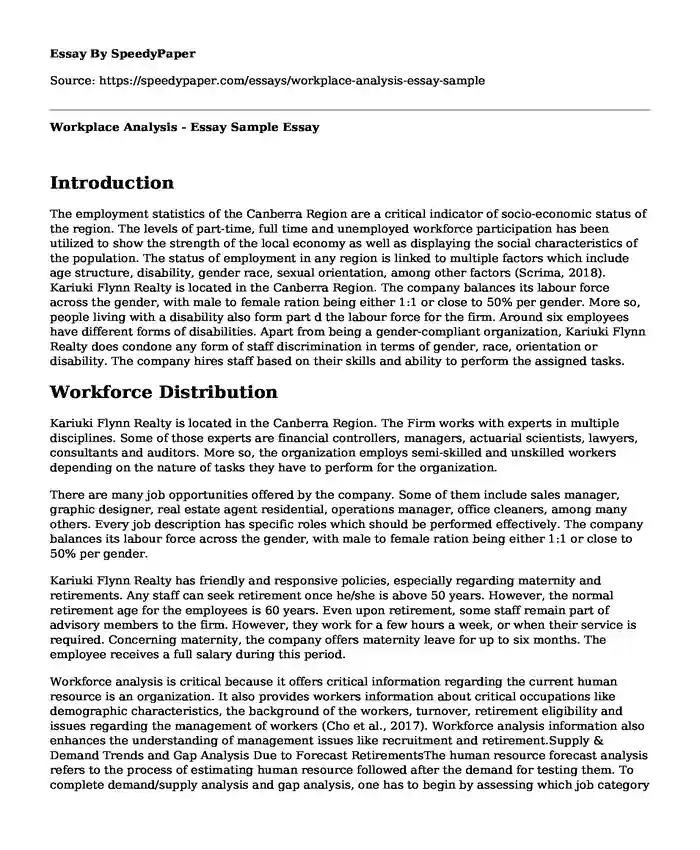 Workplace Analysis - Essay Sample