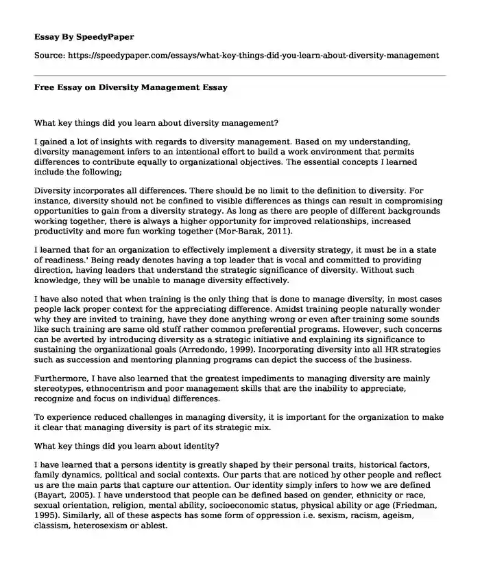 Free Essay on Diversity Management