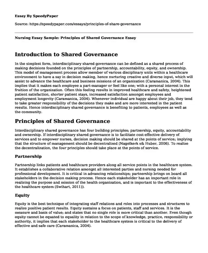 Nursing Essay Sample: Principles of Shared Governance