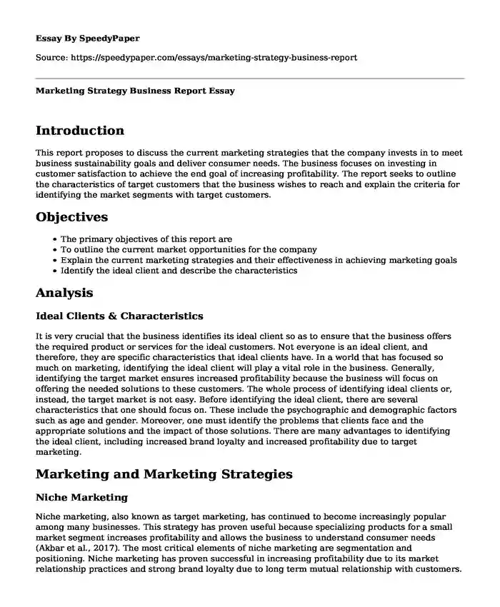 Marketing Strategy Business Report