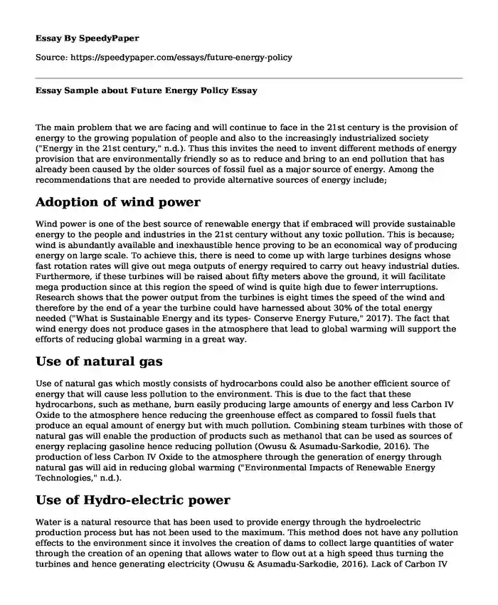 Essay Sample about Future Energy Policy