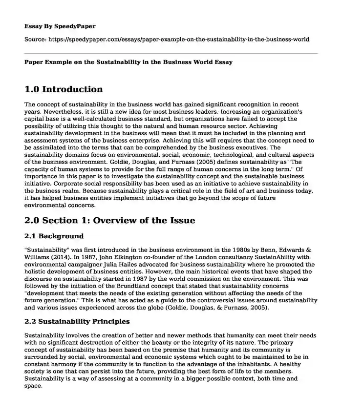 Paper Example on the Sustainability in the Business World