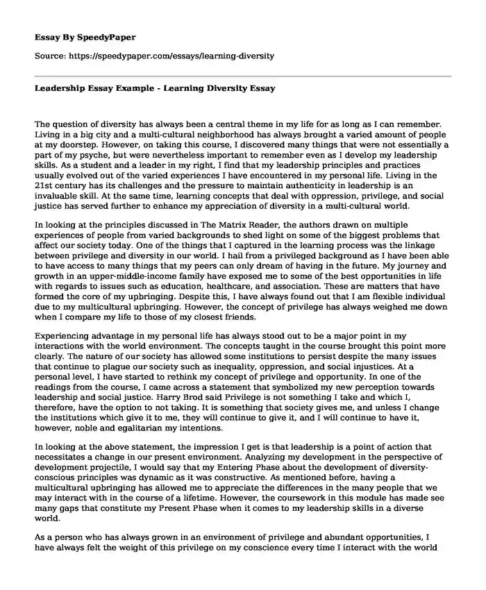 Leadership Essay Example - Learning Diversity