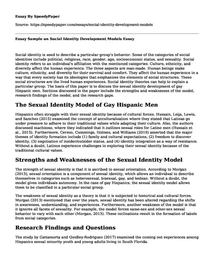 Essay Sample on Social Identity Development Models