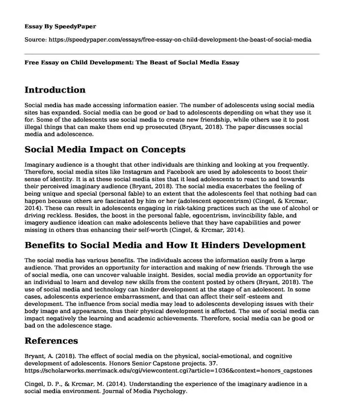 Free Essay on Child Development: The Beast of Social Media