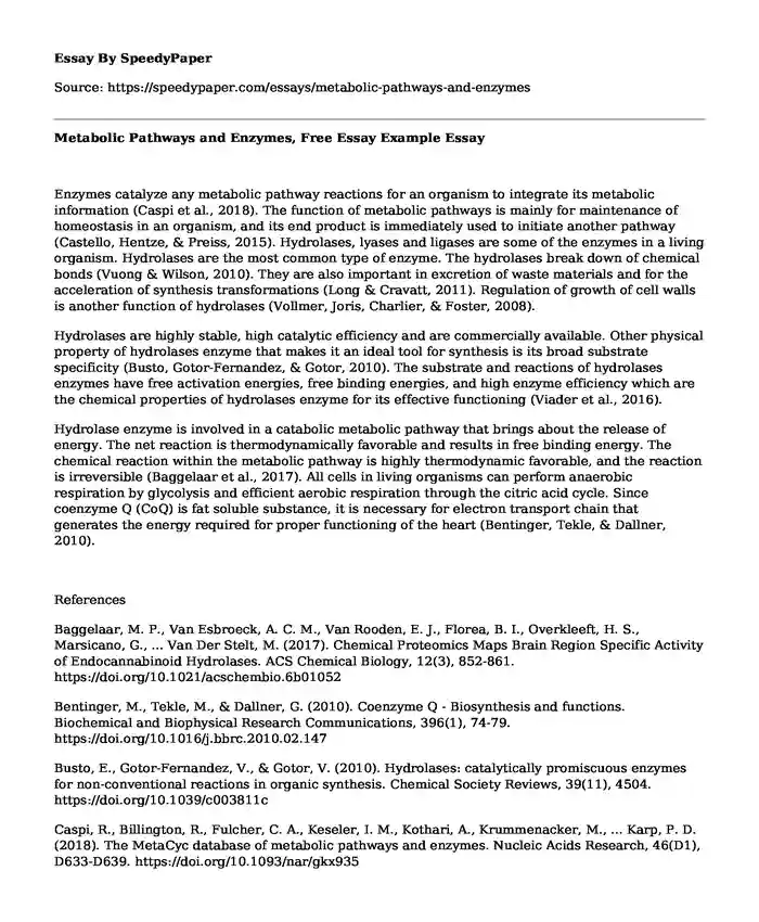 Metabolic Pathways and Enzymes, Free Essay Example