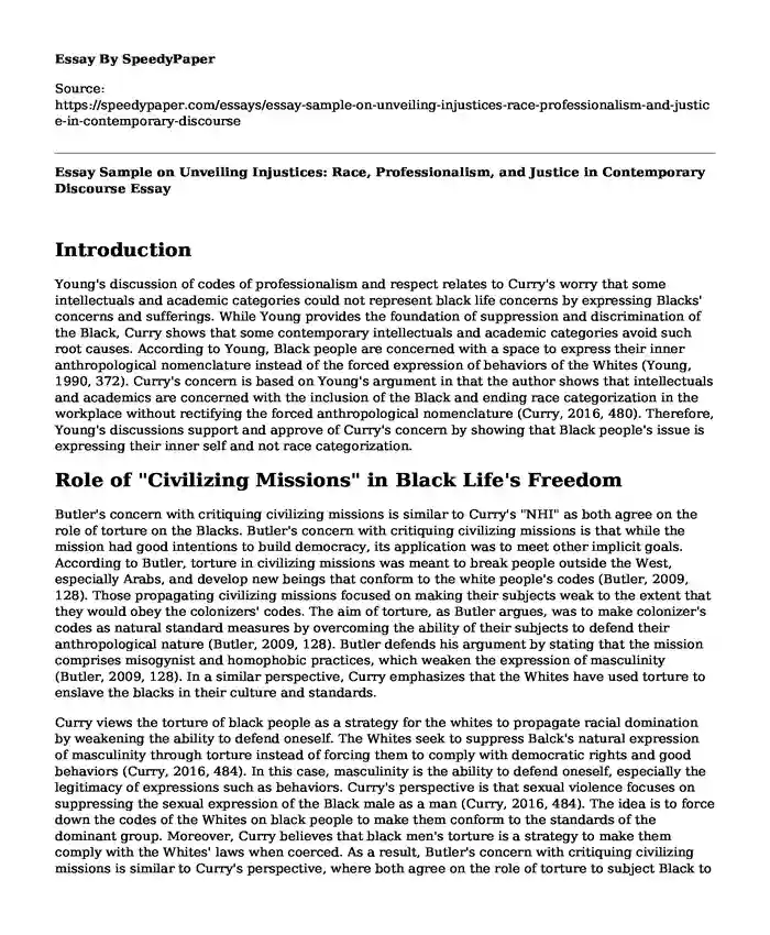 Essay Sample on Unveiling Injustices: Race, Professionalism, and Justice in Contemporary Discourse