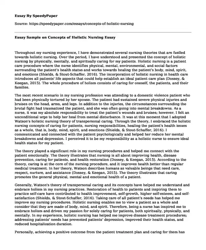 Essay Sample on Concepts of Holistic Nursing