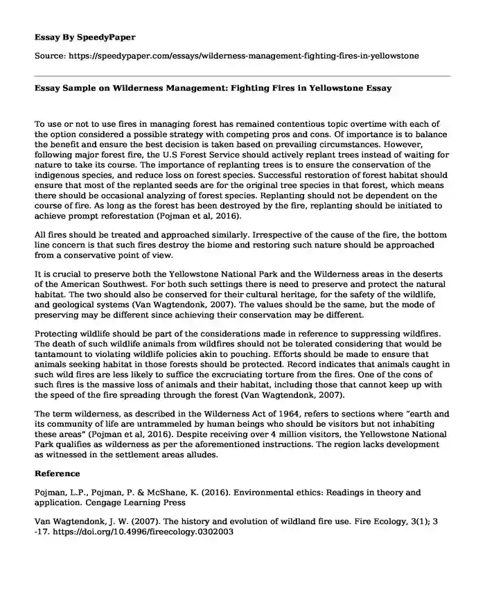 Essay Sample on Wilderness Management: Fighting Fires in Yellowstone