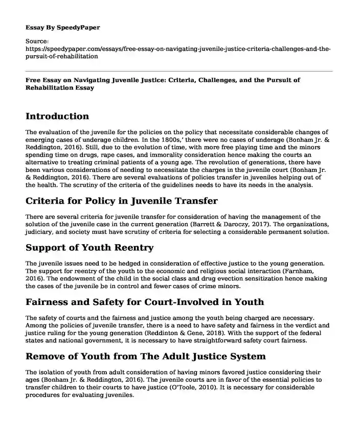 Free Essay on Navigating Juvenile Justice: Criteria, Challenges, and the Pursuit of Rehabilitation