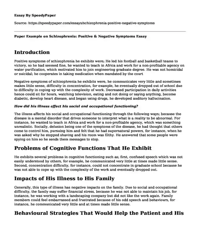 Paper Example on Schizophrenia: Positive & Negative Symptoms