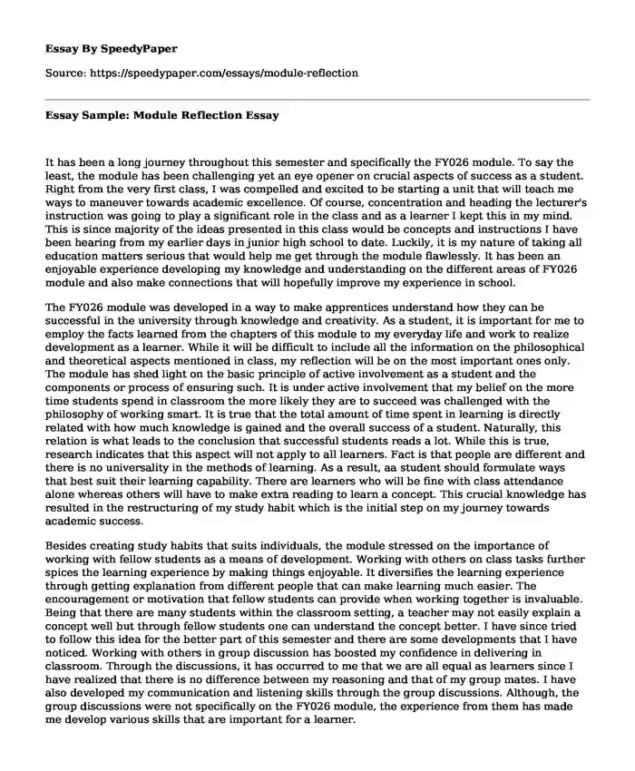 Essay Sample Module Reflection SpeedyPaper Com   Module Reflection.webp