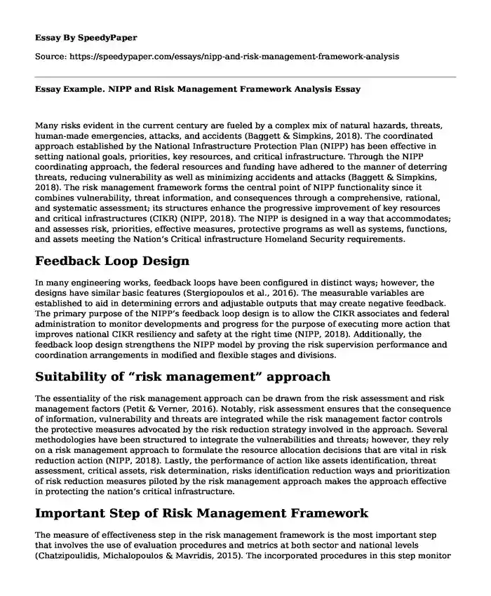 Essay Example. NIPP and Risk Management Framework Analysis